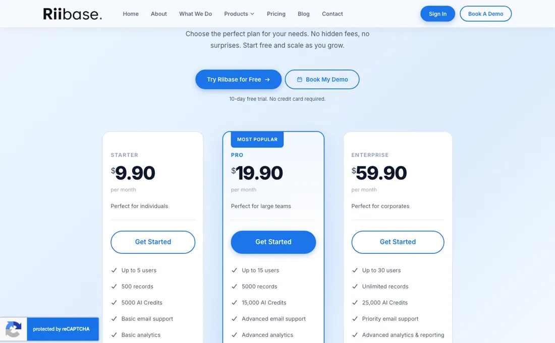 Riibase CRM pricing page